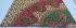 BEDSHEET JAIPUR PRINTED 72X100